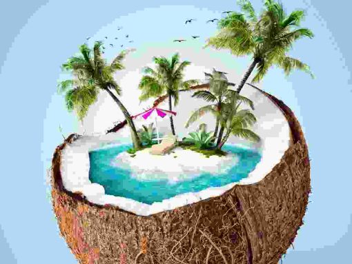 Donec placerat vehicula